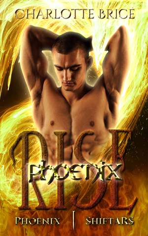 Phoenix Rise Book Cover